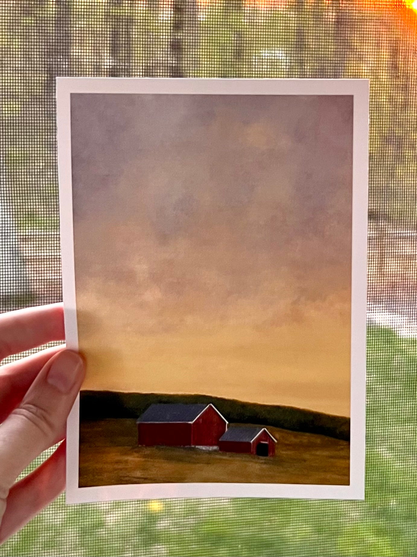 “Where the Light Lands” Landscape Fine Art Print