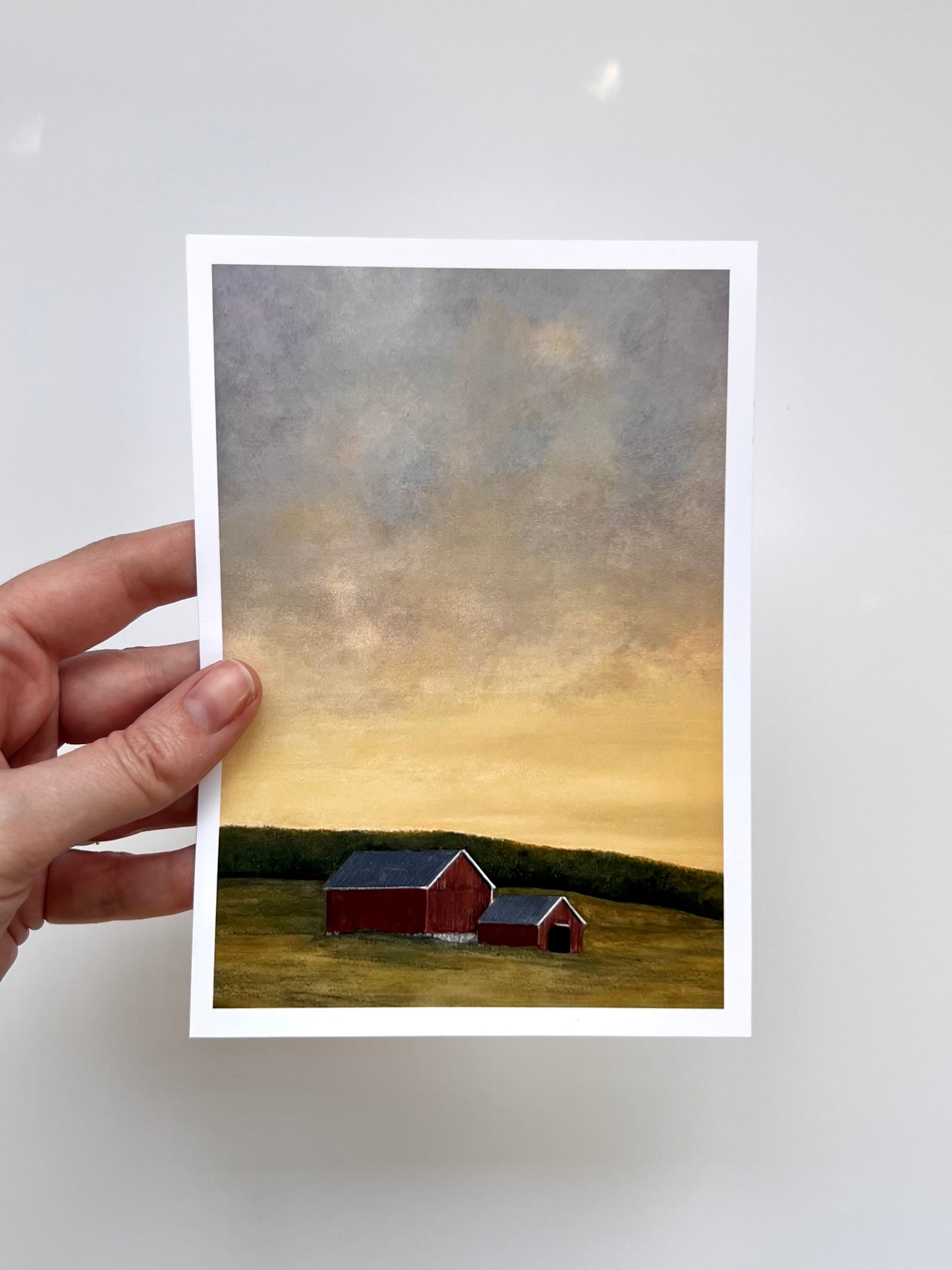“Where the Light Lands” Landscape Fine Art Print