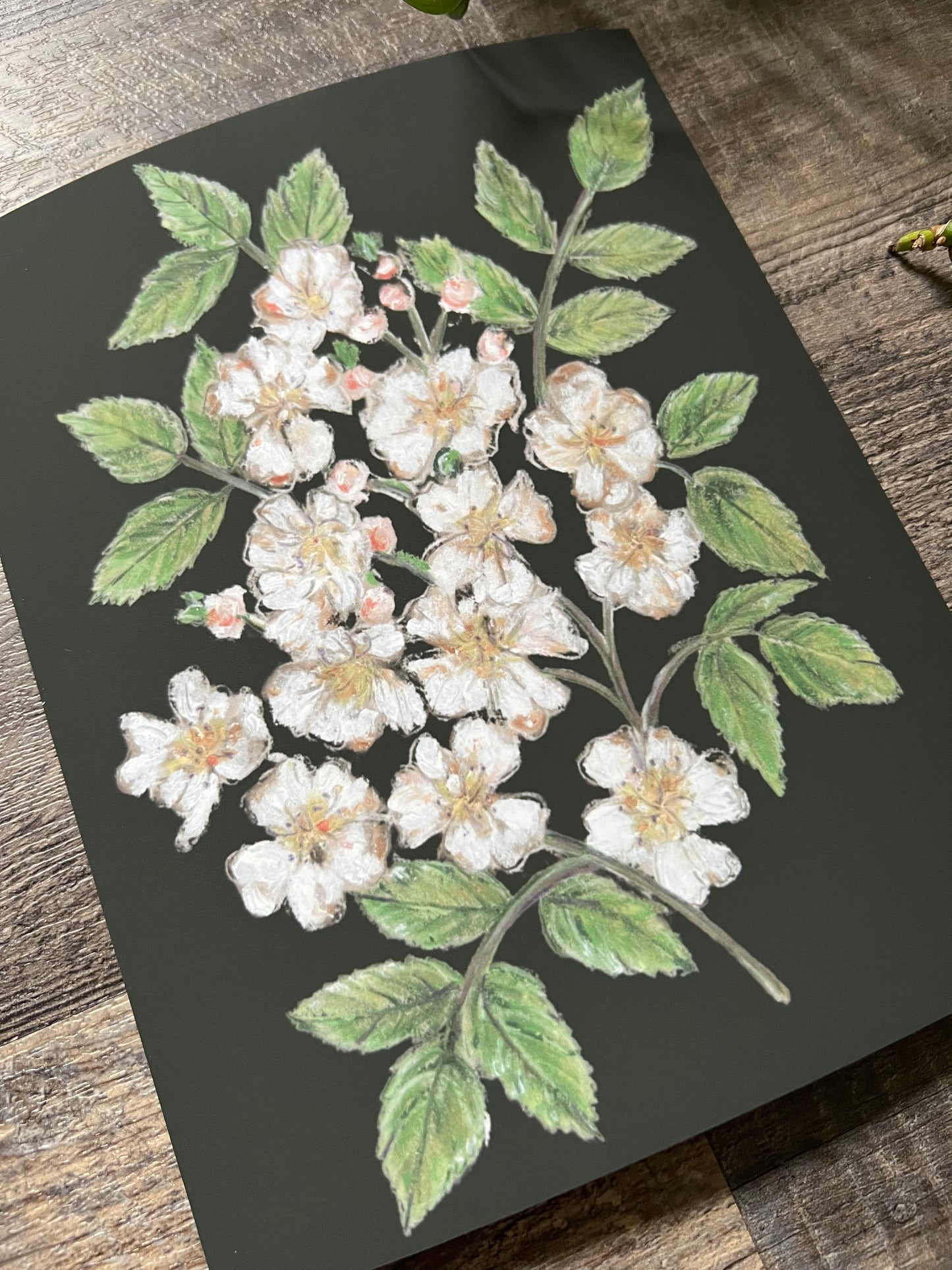 White Florals Wall Art Print